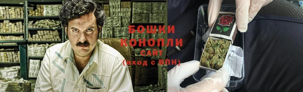 гашик Нея