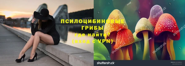 марихуана Нефтекумск