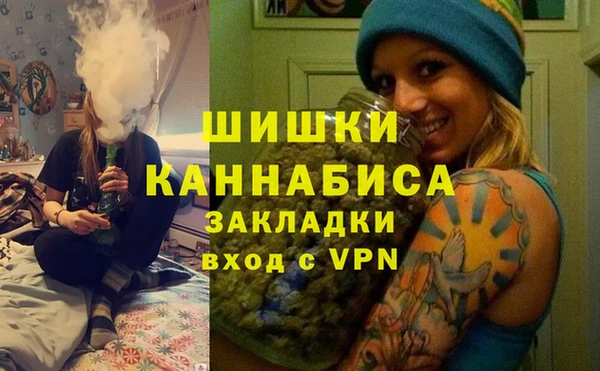 гашик Нея