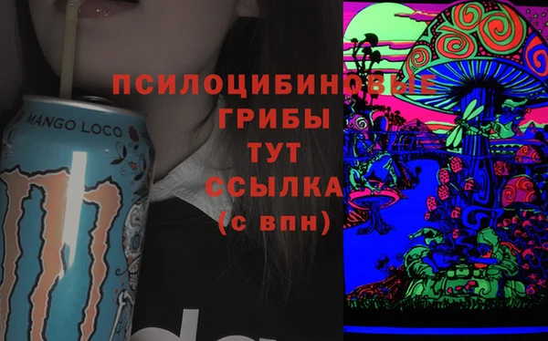гашик Нея