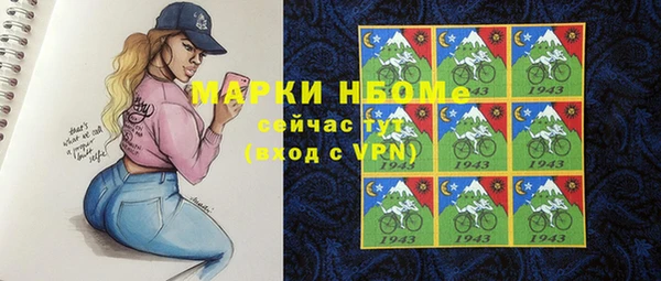 гашик Нея