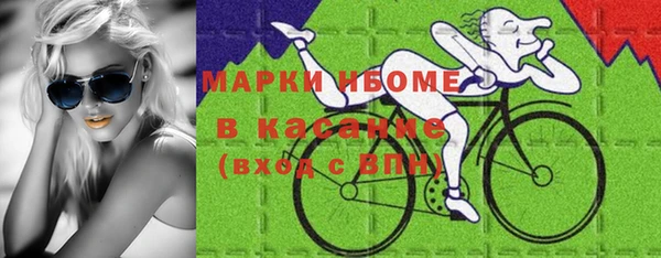 гашик Нея