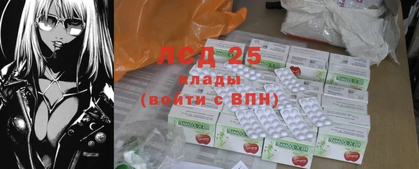 гашик Нея