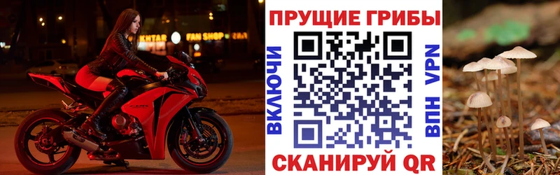 Псилоцибиновые грибы Magic Shrooms  Покровск 